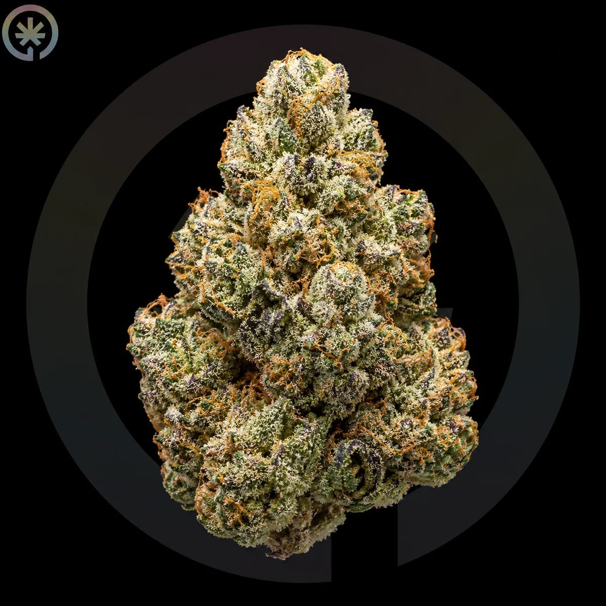 Apple Fritter Cannabis Flower