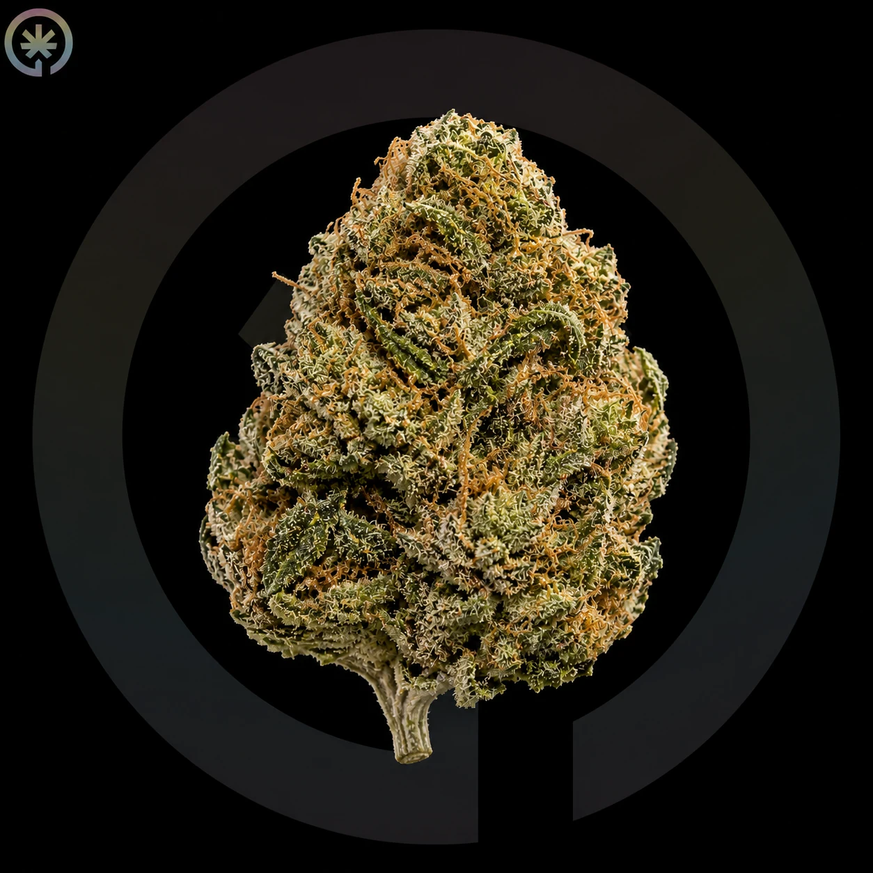 Bubble Gum Cannabis Flower