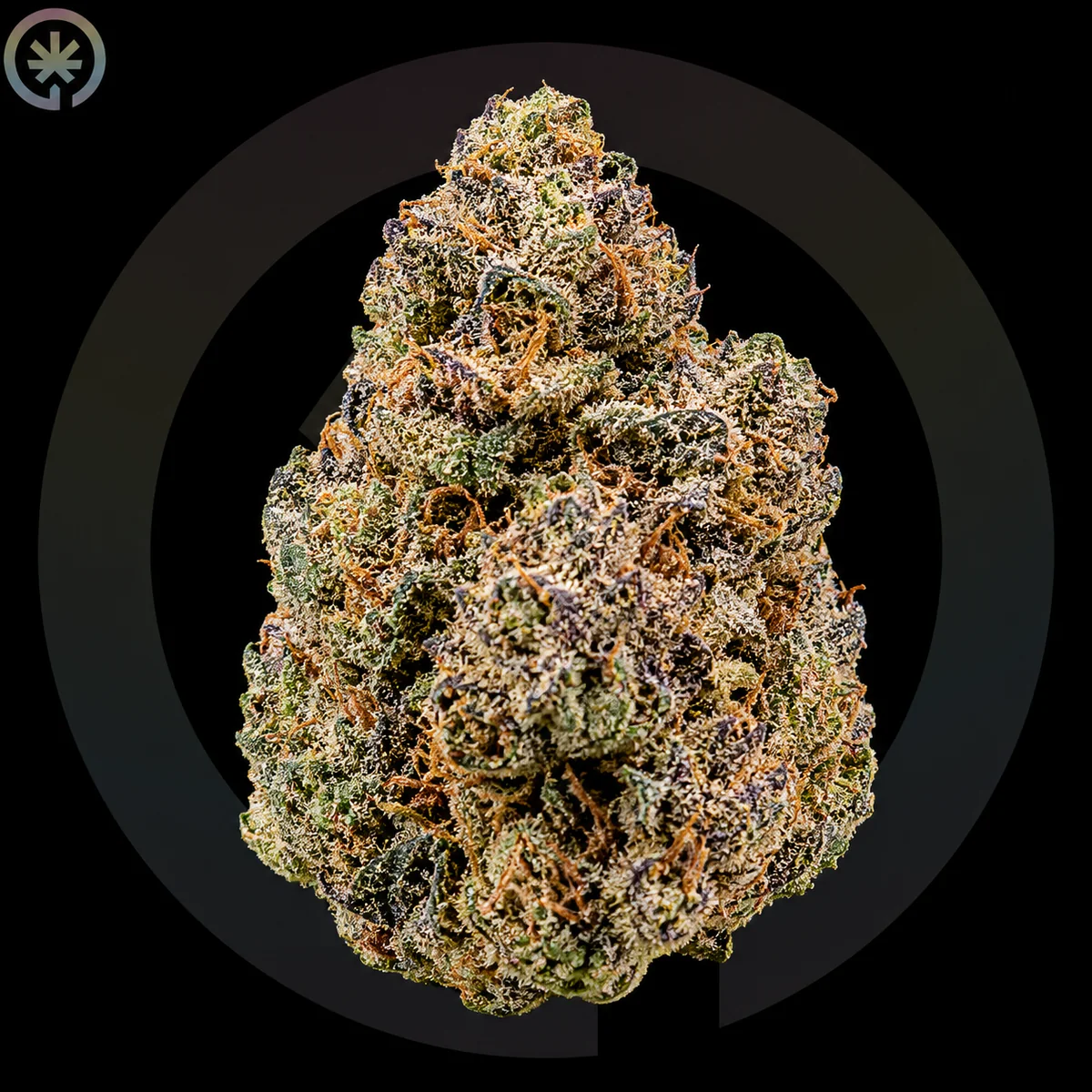 Girl Scout Cookies (GSC) Cannabis Flower