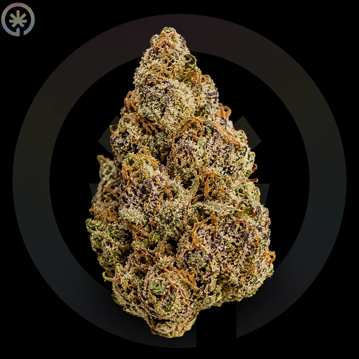 Jelly Donutz Cannabis Flower