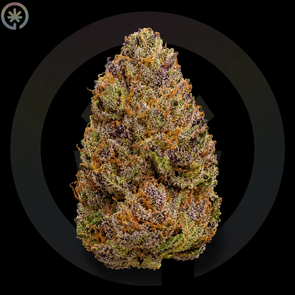 Каннабис Lemon Cherry Gelato