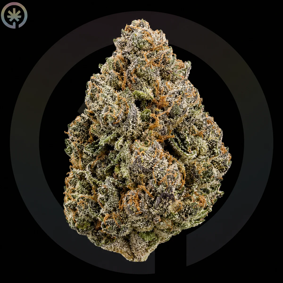 Toad Venom Cannabis Flower