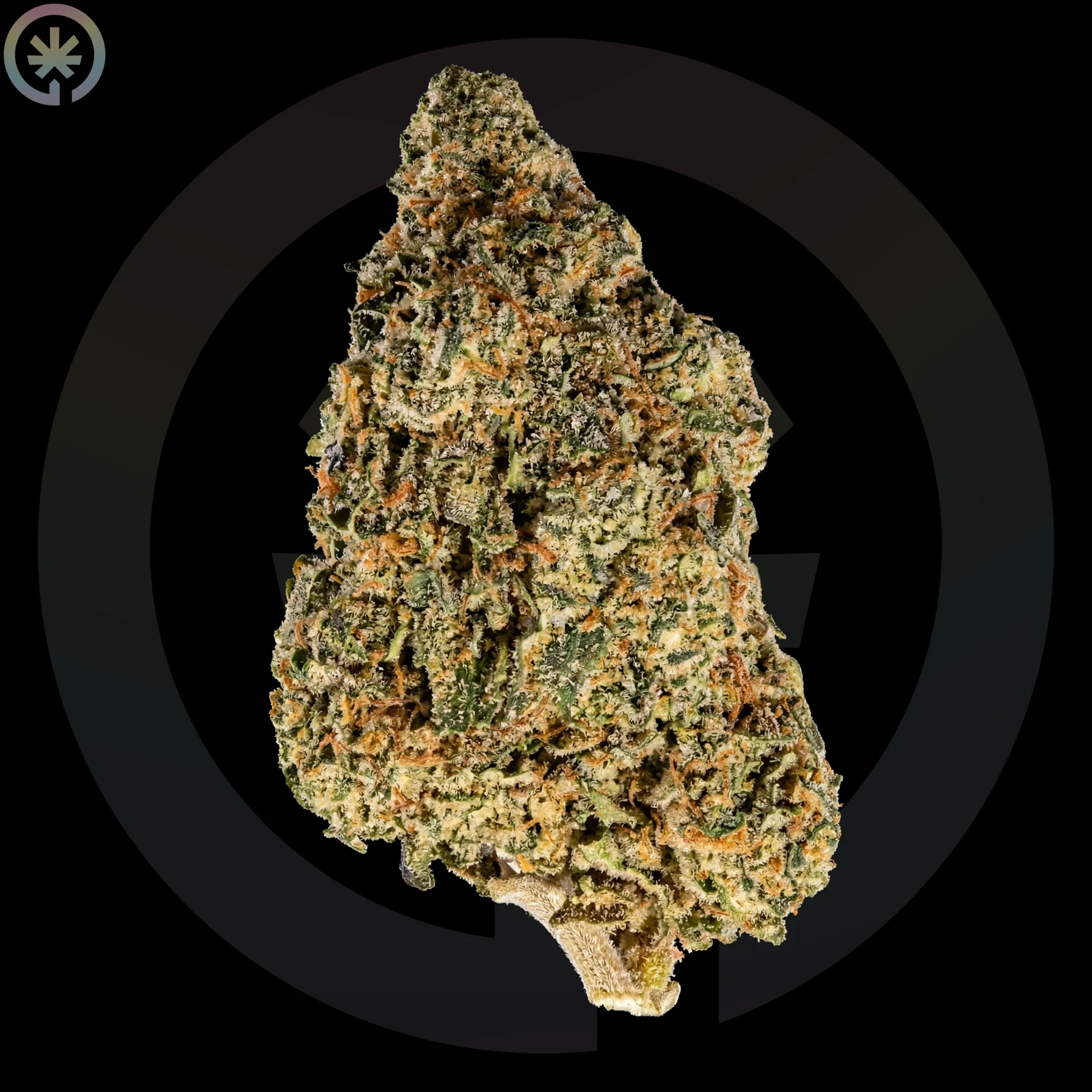 White Widow Cannabis Flower cannabis product in the Space Gardens Phuket catalogue