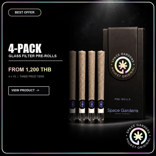 Four-pack of Space Gardens glass-filter pre-rolls in Phuket