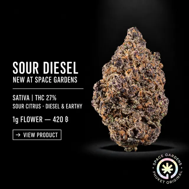 Sour Diesel Cannabis Flower new arrival at Space Gardens Phuket