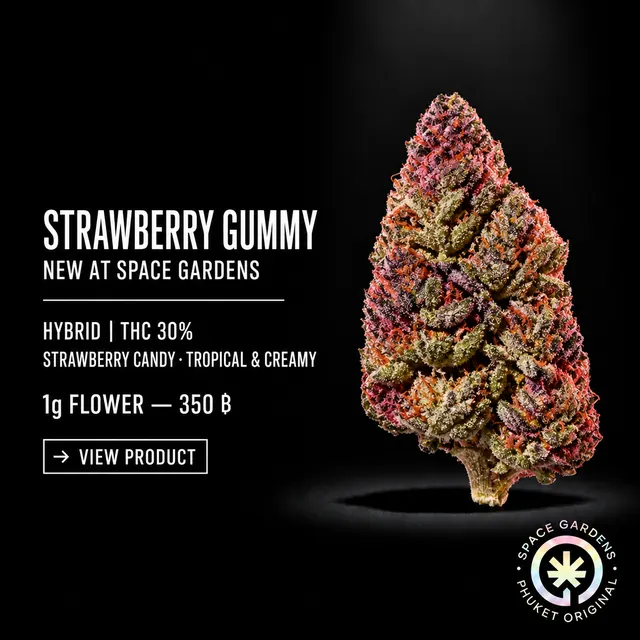 Strawberry Gummy Cannabis Flower new arrival at Space Gardens Phuket
