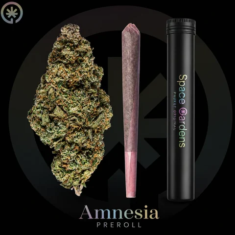 Преролл Amnesia