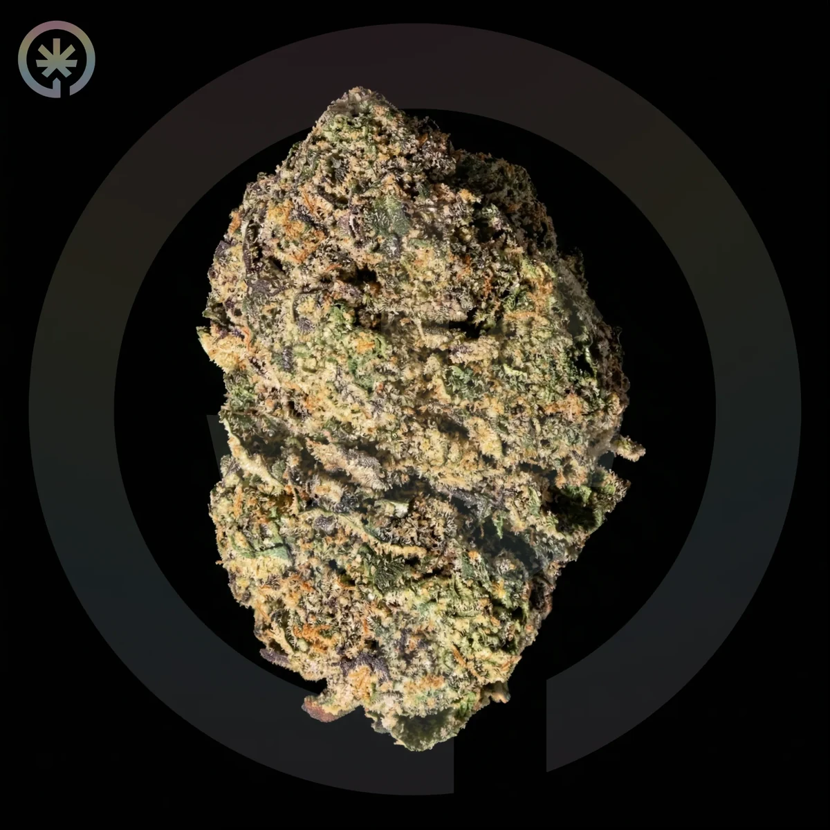 Apple Banana Zoap flower used as a cultivar reference for the pre-roll
