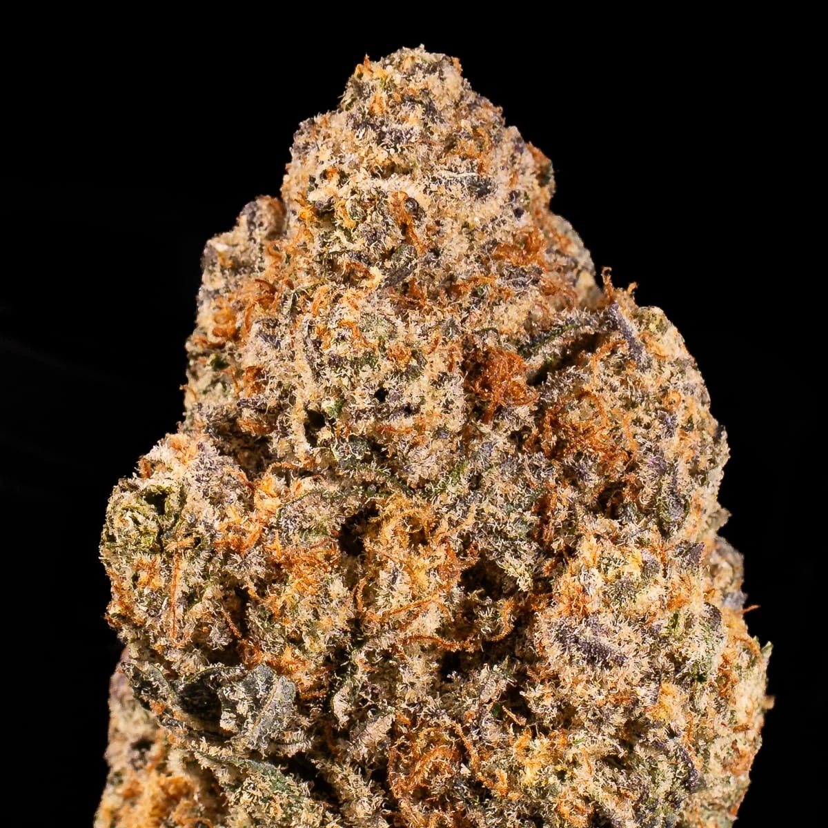 Do-Si-Dos Cannabis Flower close up at Space Gardens Phuket