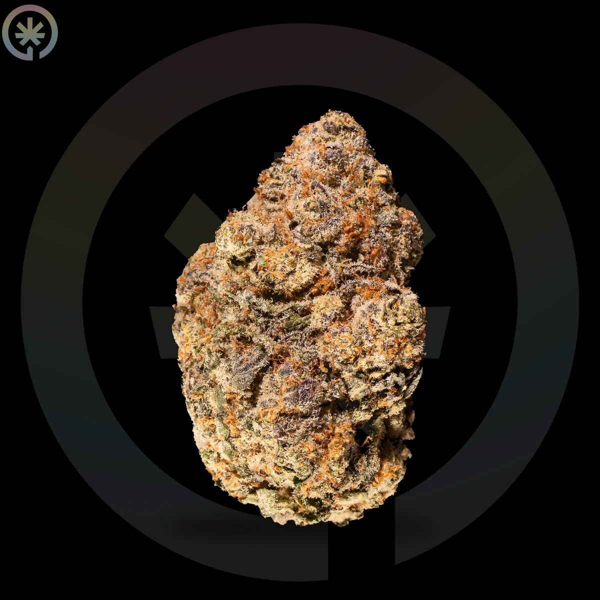 Do-Si-Dos Cannabis Flower photo at Space Gardens Phuket