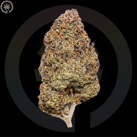 Durban Poison — соцветия каннабиса