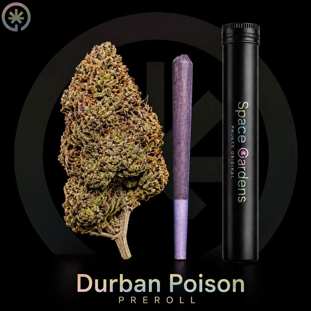 Durban Poison Pre-Roll photo at Space Gardens Phuket