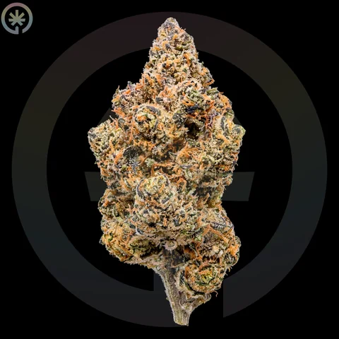 Falcon 9 Cannabis Flower