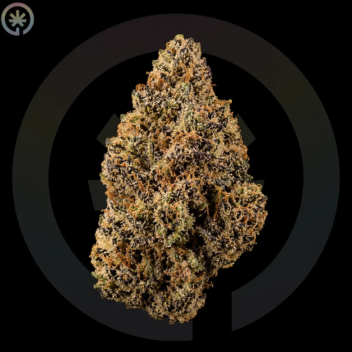 Шишка каннабиса GMO Cookies (Garlic Cookies) от Space Gardens на Пхукете