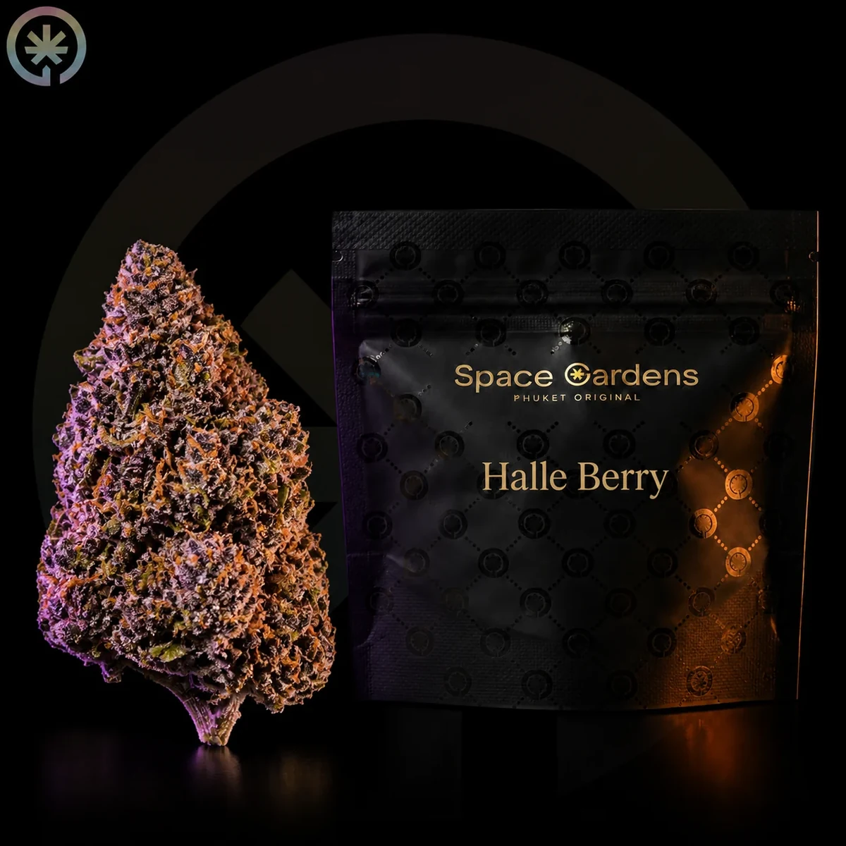 Halle Berry Cannabis Flower packaging at Space Gardens Phuket