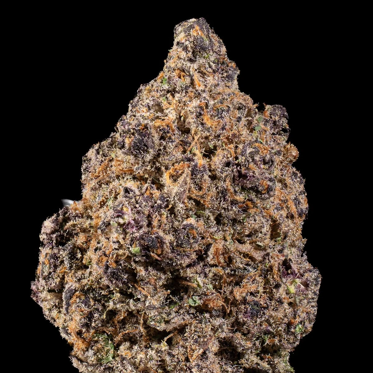 Sour Diesel Cannabis Flower close up at Space Gardens Phuket