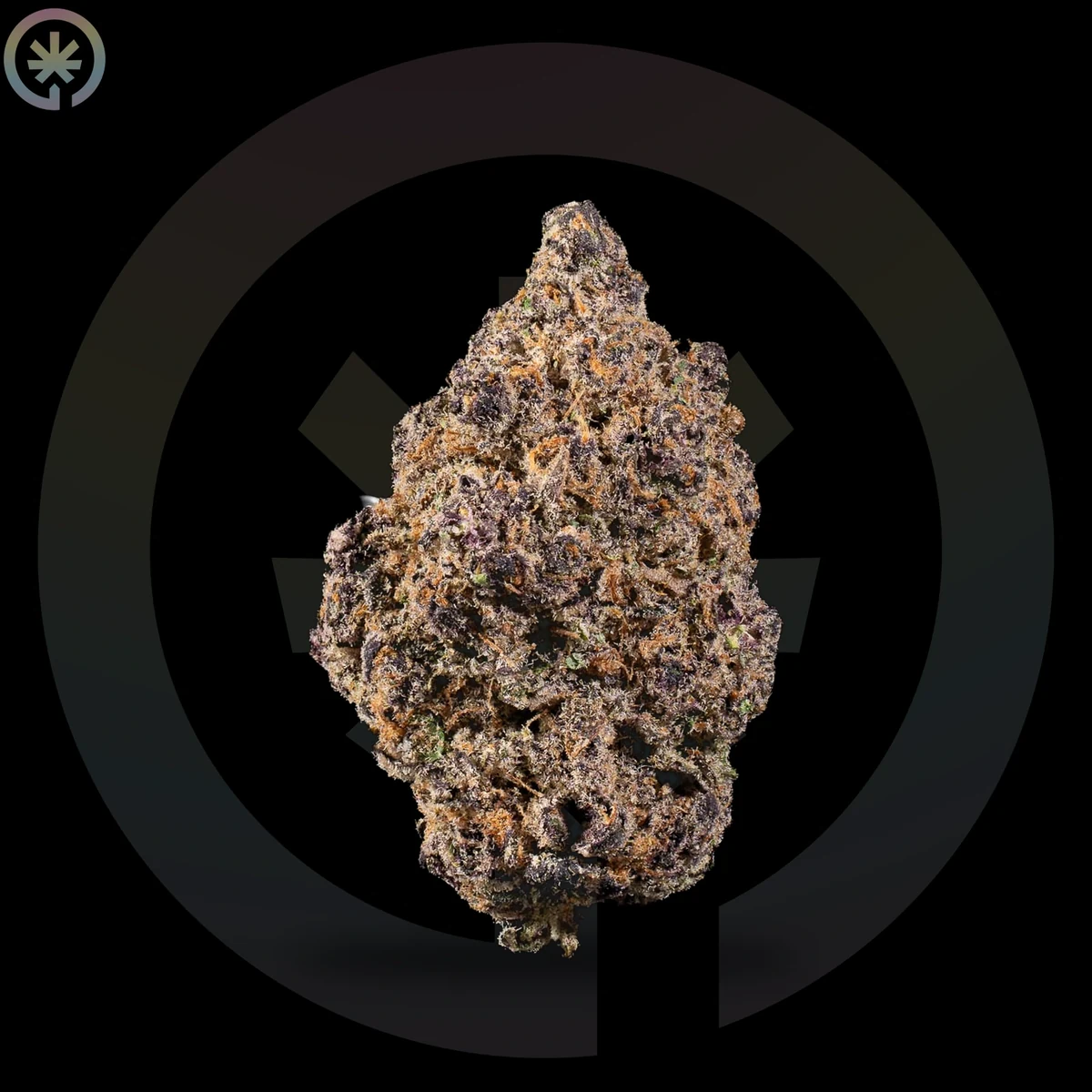 Sour Diesel Cannabis Flower photo at Space Gardens Phuket