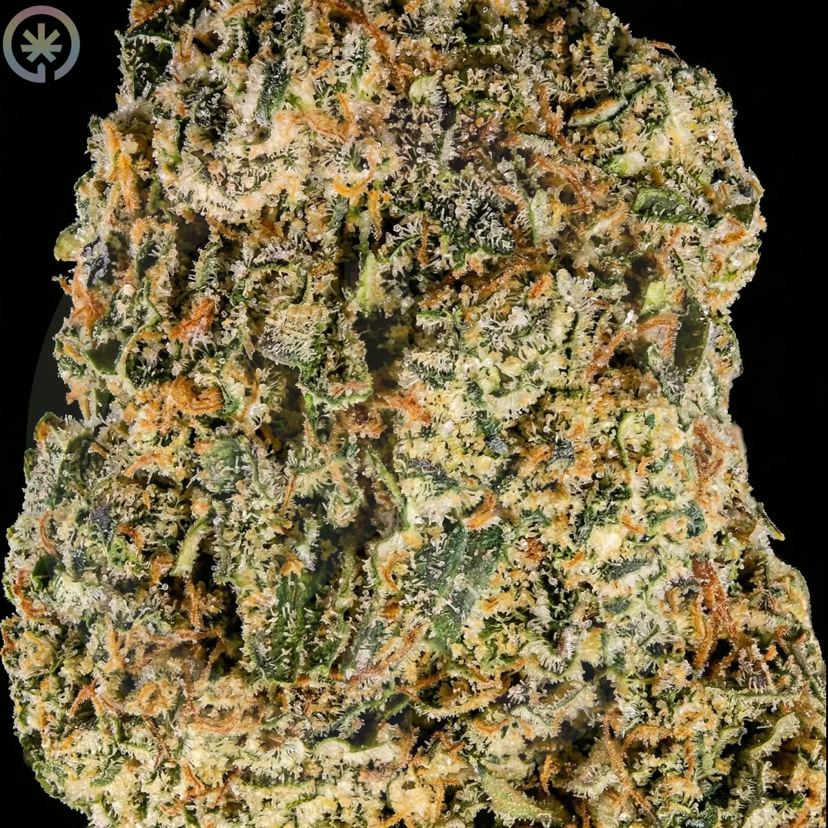 Макросъёмка трихом и оранжевых пестиков White Widow